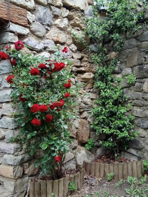 La Borda De Sesue Villa Kültér fotó